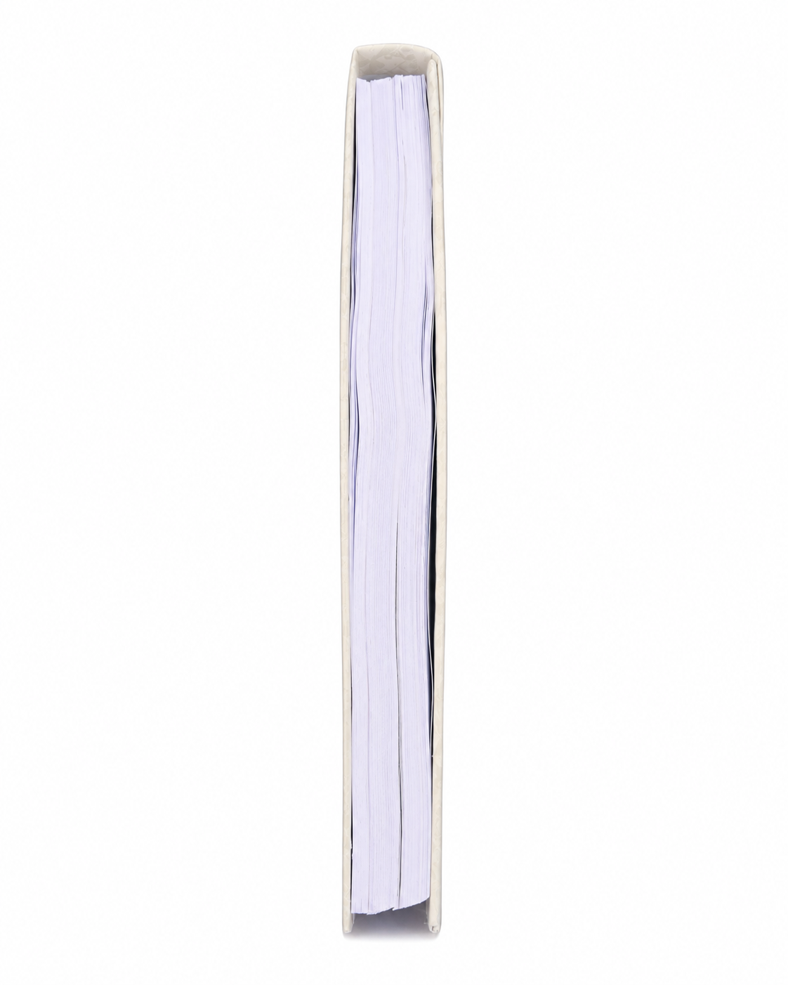 Daily Planner - Image 4